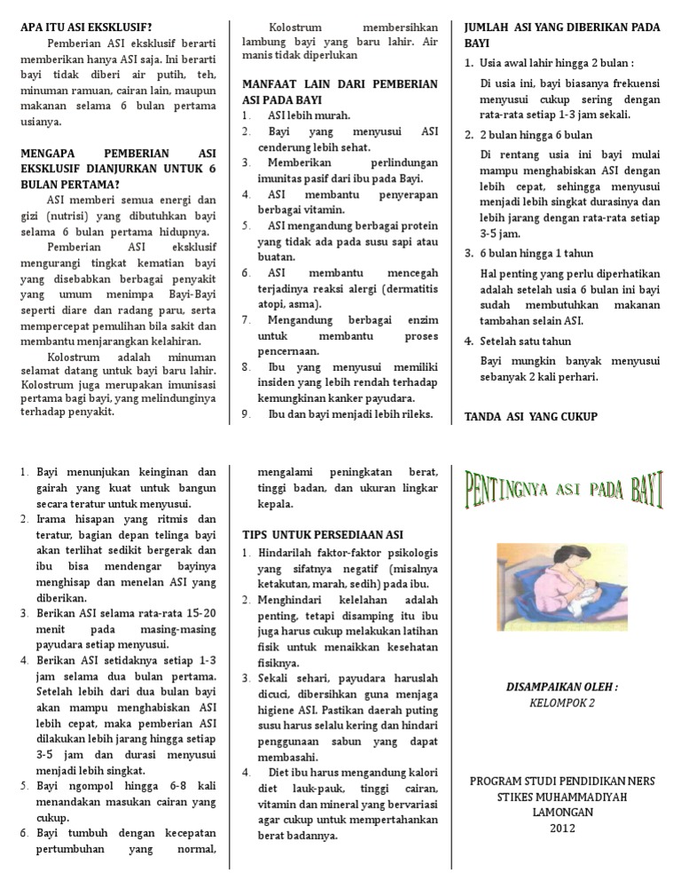 Leaflet Asi Eksklusif | PDF