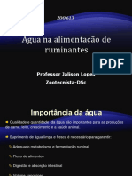 Agua Na Alimentao de Ruminantes