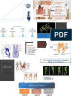 ANATOMIA DE LA CAVIDAD PULPAR Y ACCESO CLASE 1