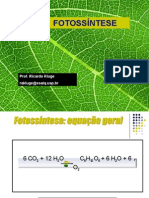 Processos fotossintéticos