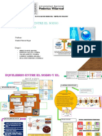 Equilibrio Entre El Sodio y El Potasio - Grupo 1