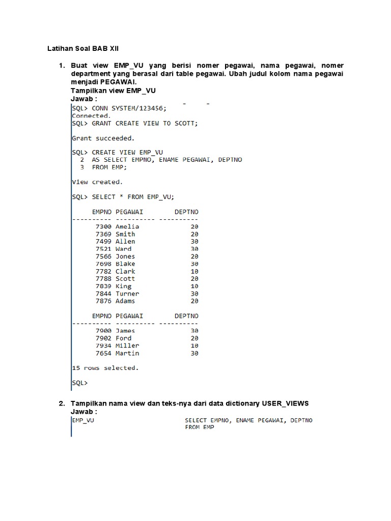 Panduan Membuat View SQL untuk Pegawai | PDF | Komputer