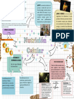 Mapa Mental Nutriciòn Celular