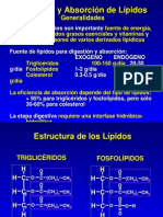 Absorcion Digestion Lipidica