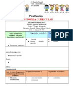 Planificación_AUTONOMÍA%20CURRICULAR