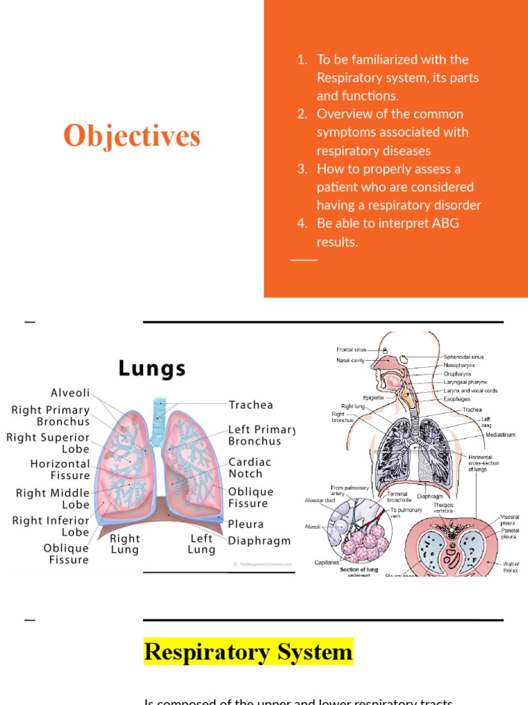 Oxygenation Pathway The Nyts Shocking New Findings - zd3w9m1