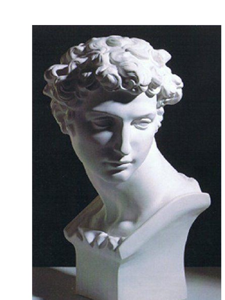 BUSTO | PDF