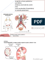 Probleme Genito-Urinare Pediatrice