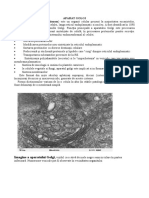 Celula-Eucariota-2 - Modificata