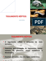 Tegumento Repteis