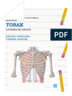 Resumen de Cirugia Torax