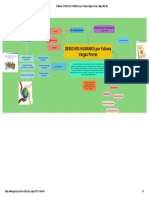 DERECHOS HUMANOS - Mapa Mental