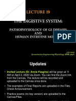 The Digestive System:: Pathophysiology of Gi Diseases and Human Intestine Models