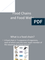 Food Chains and Food Webs