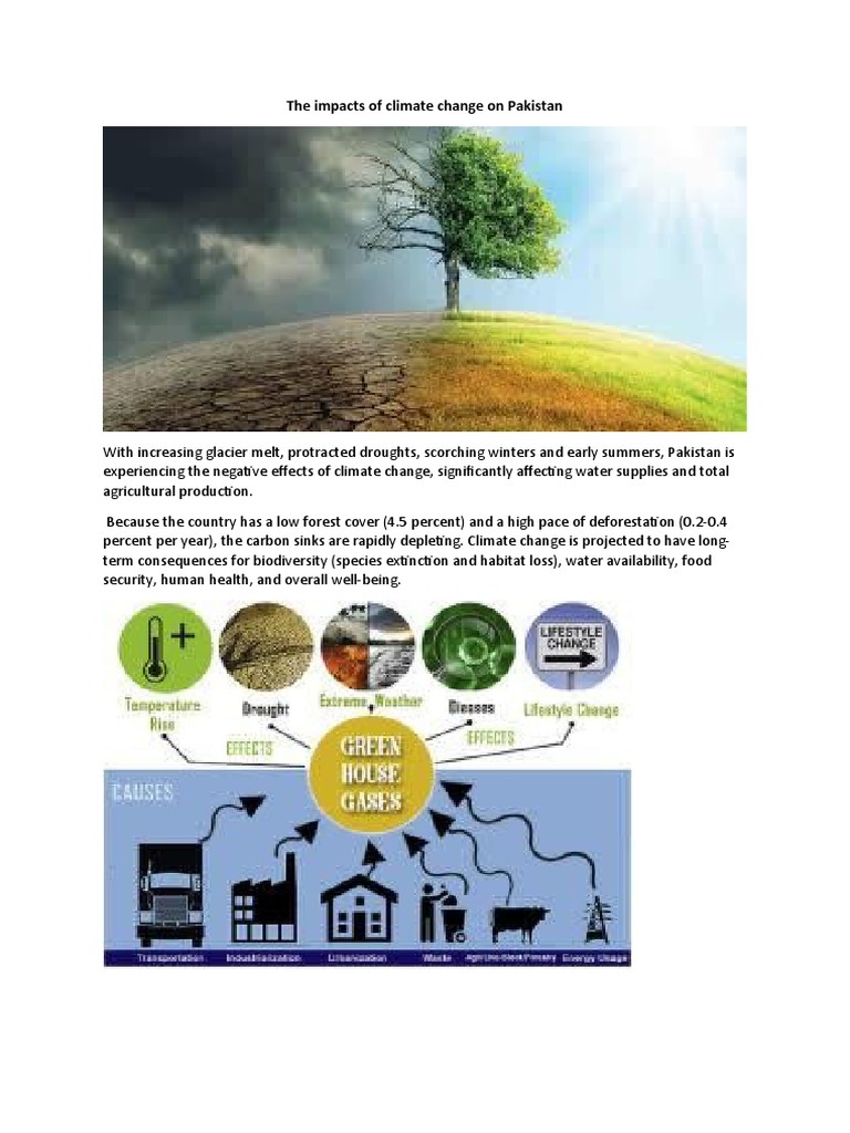 Climate Change Impacts on Pakistan | PDF | Climate Change | Agriculture