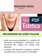 Fisiopatologia facial mecanismos lesão celular