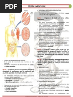 Tecido Muscular - Teoria Pelo BioVest