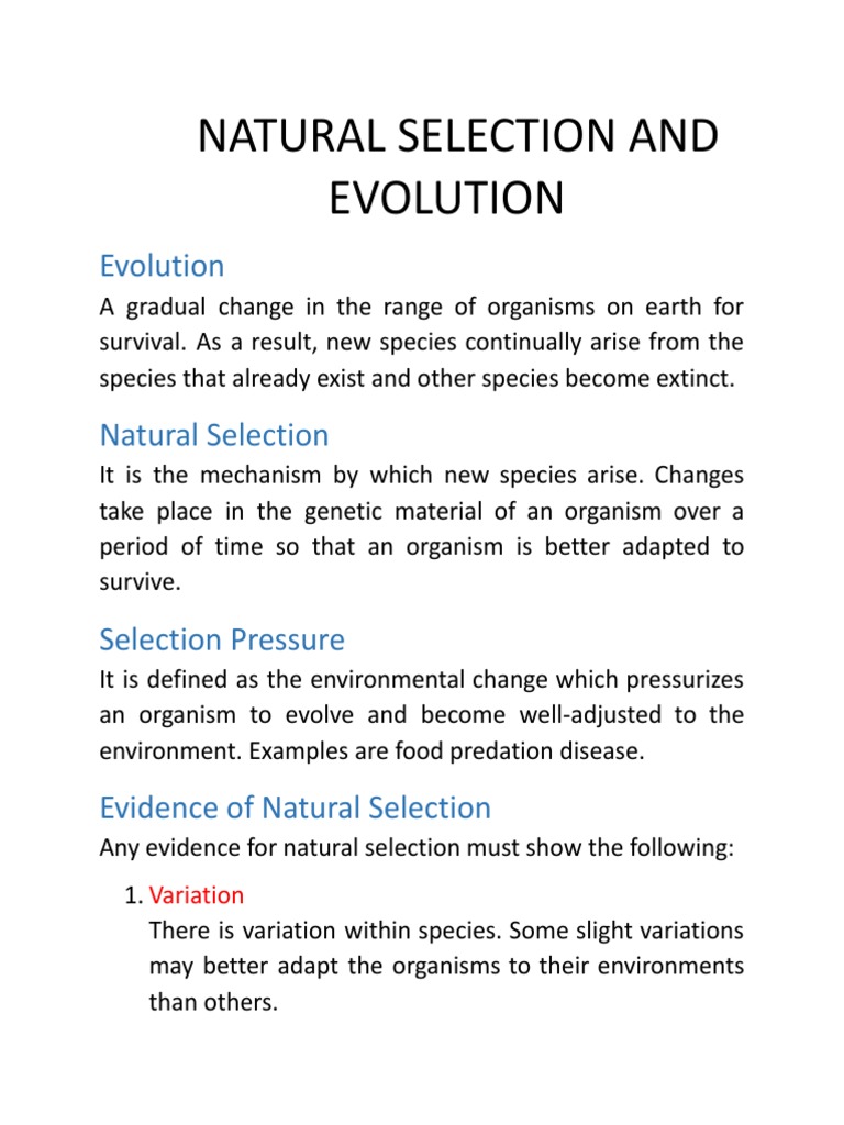CH 19 Natural Selection and Evolution | PDF | Natural Selection | Evolution