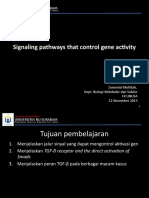 K10 Signalling Pathway That Control Gene Activity