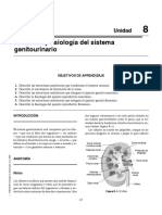 Anatomia y Fisiologia Del Sistema Genitourinario