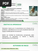 Bases Teóricas de Enfermería: Caracterización de La Profesión