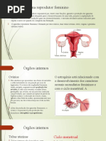Guia Sexual - Como Saber Se A Mulher Gozou Ou Fingiu | PDF | Orgasmo ...
