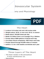 Topic 2 - Cardiovascular Anatomy, Physiology and Assessment (Hemo)