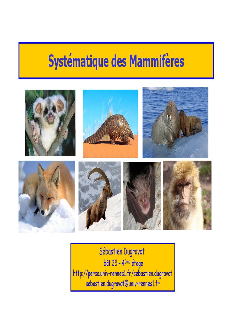 Caractéristiques des Mammifères PDF Cétacées Mammifères — free download