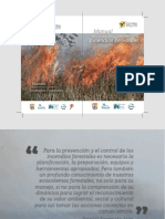 Manual de Coordinación y Control de Incendios Forestales. GUYRA PARAGUAY