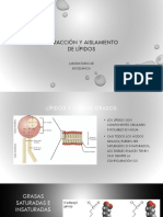 Presentación Lípidos