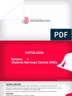 Histo Practica 5 SNC