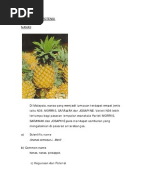 Bahasa Melayu Tingkatan 4 Pages 251 284 Flip Pdf Download Fliphtml5