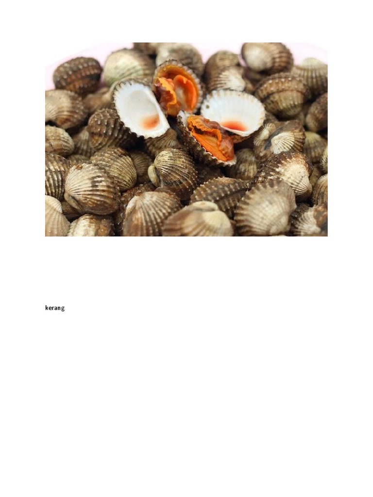 Kerang PDF