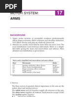 Understanding Pyramidal Weakness | PDF | Anatomical Terms Of Motion ...
