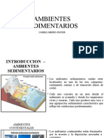 Ambientes Sedimentarios