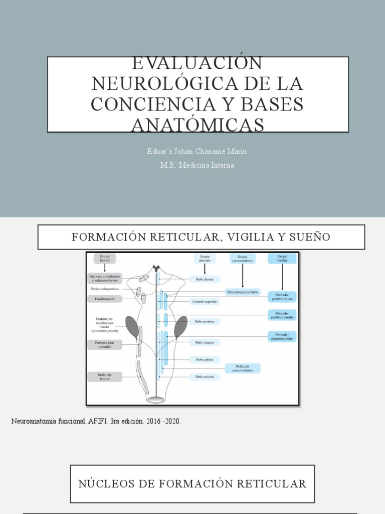 Evaluación Neurológica de la Conciencia | PDF | Coma | Neurociencia