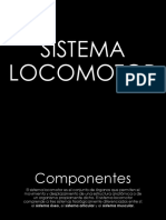 Sistema Locomotor