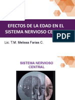 Envejecimiento Cerebral (2)