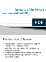 What Are The Parts of The Female Reproductive Kls 6
