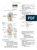 Gluteal, Thigh and Knee Region Trans