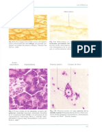 Atlas de Histologia Geneser 3