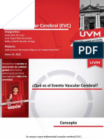 Evento Vascular Cerebral (EVC) : Integrantes