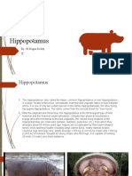 Hippopotamus: by - B.Pragna Reddy 5f