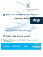 Ppt Presentstion-Intro to Int Prop