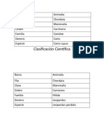 Clasificacion Cientifica