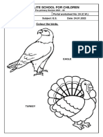 Satellite School For Children: Colour The Birds