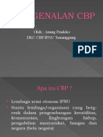 Materi Orientasi CBP TMG