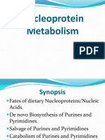 Nucleoprotein Metabolism: Digestion, Absorption and De Novo Synthesis