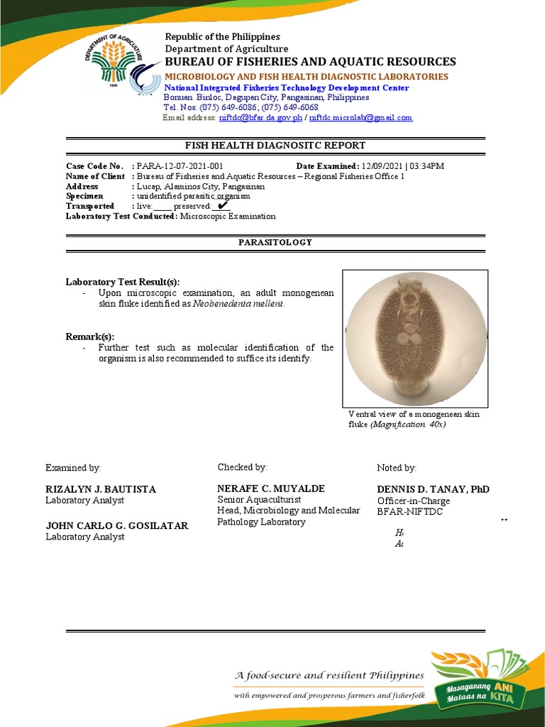 BFAR Region 1 Fish Health Diagnostic Report | PDF | Colony Forming Unit ...
