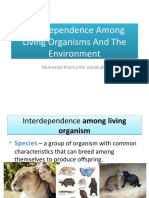 Interdependence Among Living Organisms and The Environment